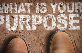 Purpose